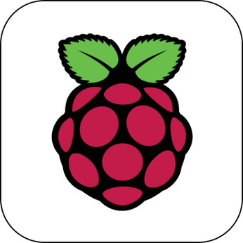 Raspberry Pi